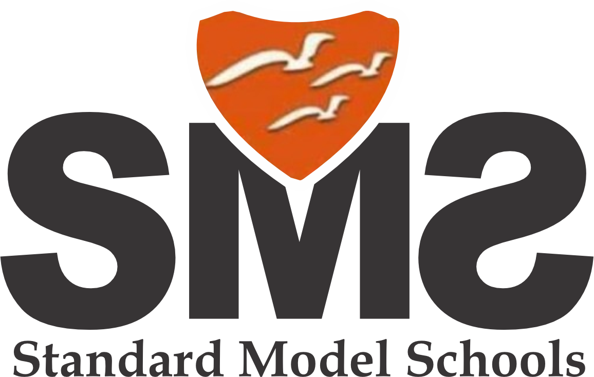 Standard Model Schools